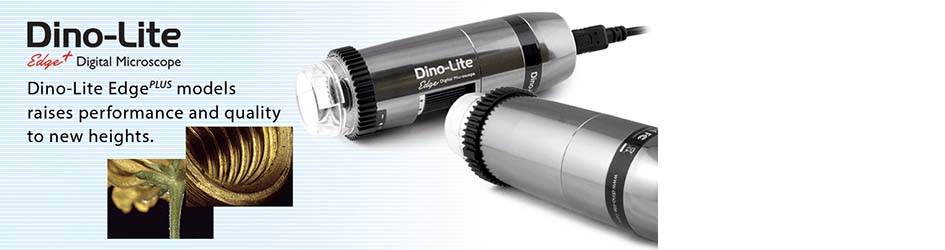 1-banner-dino-lite-home